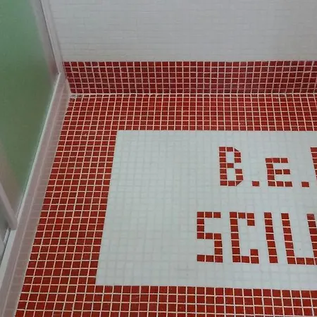 Sciuby *